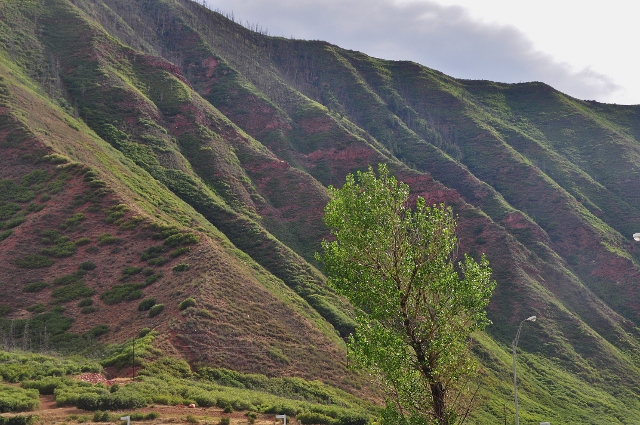 Coal Ridge west of Glenwood Springs on the I-70